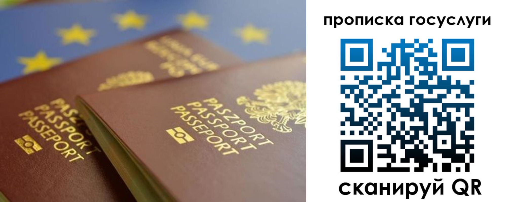 найти адрес прописки в Подольске